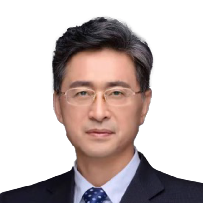 王哲海